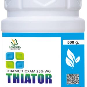 thio-25.jpeg